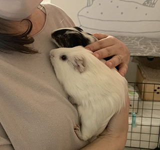 Rosina & Zibi